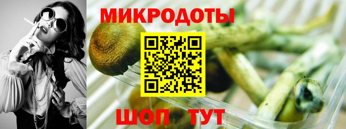 Галлюциногенные грибы Magic Shrooms  Галлюциногенные грибы Cubensis  Вход с VPN  Новосибирск 